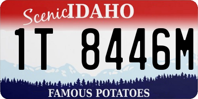 ID license plate 1T8446M