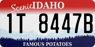ID license plate 1T8447B