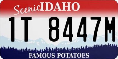 ID license plate 1T8447M