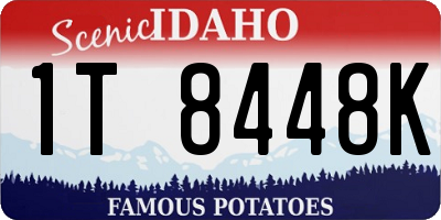 ID license plate 1T8448K