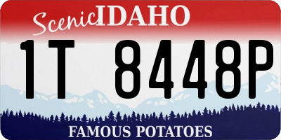 ID license plate 1T8448P