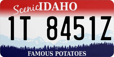 ID license plate 1T8451Z