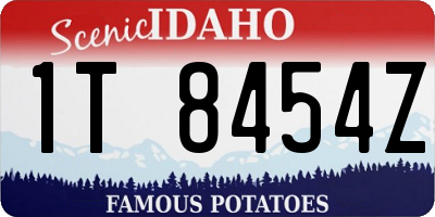 ID license plate 1T8454Z