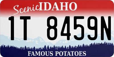 ID license plate 1T8459N