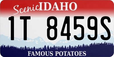ID license plate 1T8459S