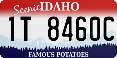 ID license plate 1T8460C