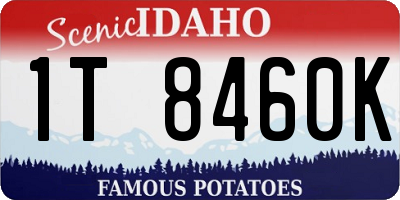 ID license plate 1T8460K