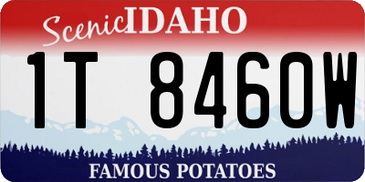 ID license plate 1T8460W