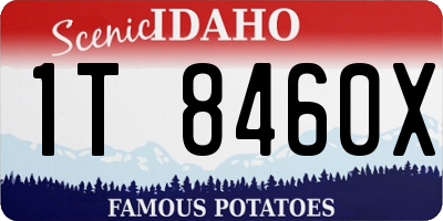 ID license plate 1T8460X