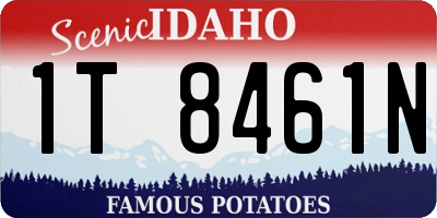 ID license plate 1T8461N