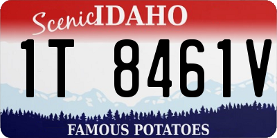 ID license plate 1T8461V