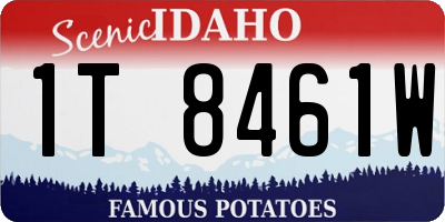 ID license plate 1T8461W