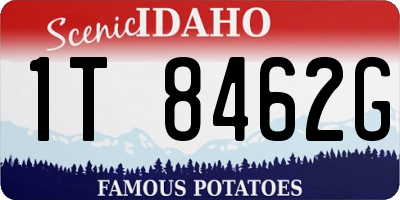 ID license plate 1T8462G