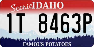 ID license plate 1T8463P