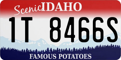 ID license plate 1T8466S