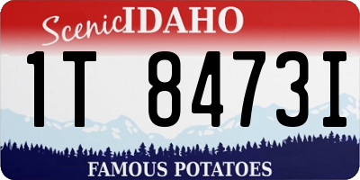 ID license plate 1T8473I