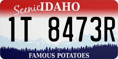 ID license plate 1T8473R