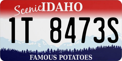 ID license plate 1T8473S