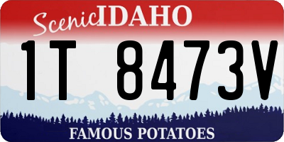 ID license plate 1T8473V