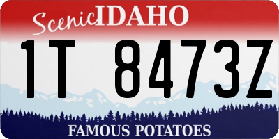 ID license plate 1T8473Z