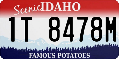 ID license plate 1T8478M