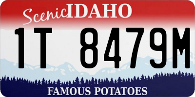 ID license plate 1T8479M