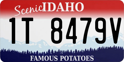 ID license plate 1T8479V