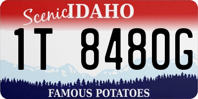 ID license plate 1T8480G