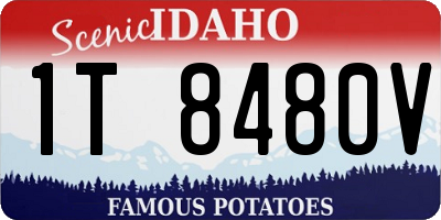 ID license plate 1T8480V