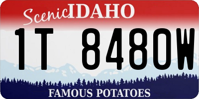 ID license plate 1T8480W