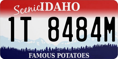 ID license plate 1T8484M