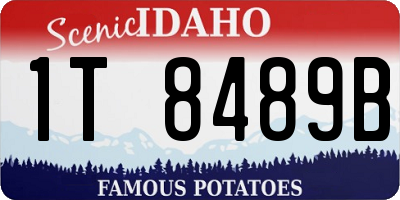 ID license plate 1T8489B