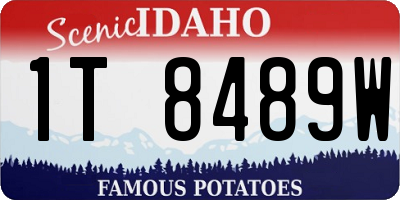 ID license plate 1T8489W