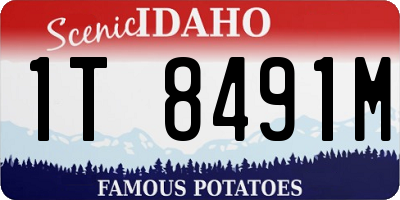 ID license plate 1T8491M