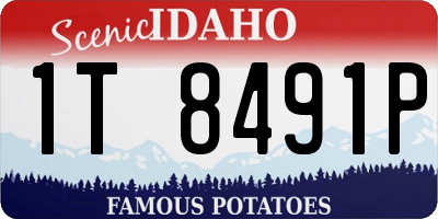 ID license plate 1T8491P