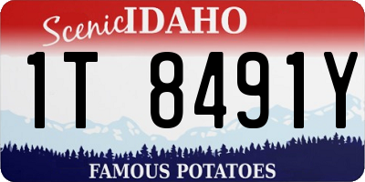 ID license plate 1T8491Y