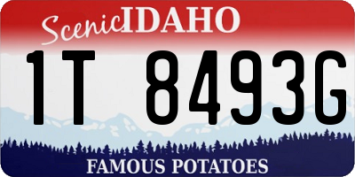 ID license plate 1T8493G