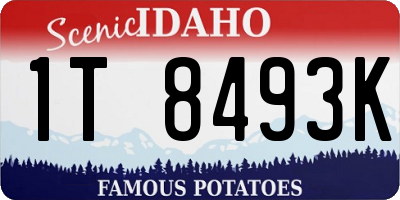 ID license plate 1T8493K