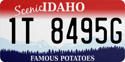 ID license plate 1T8495G