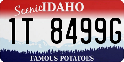 ID license plate 1T8499G