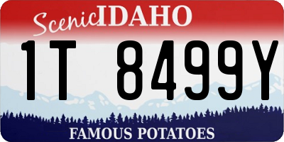 ID license plate 1T8499Y