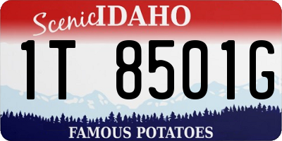 ID license plate 1T8501G