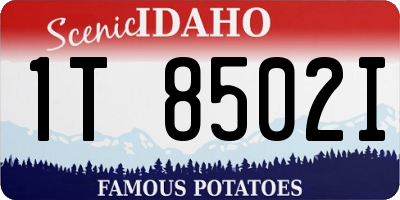 ID license plate 1T8502I
