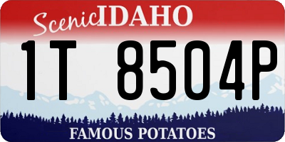 ID license plate 1T8504P