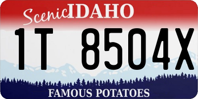 ID license plate 1T8504X