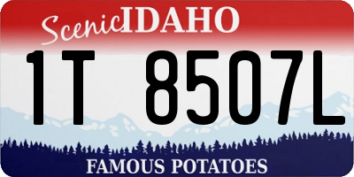 ID license plate 1T8507L