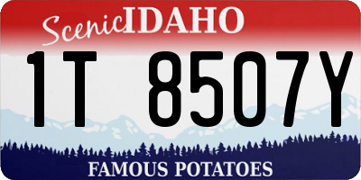 ID license plate 1T8507Y