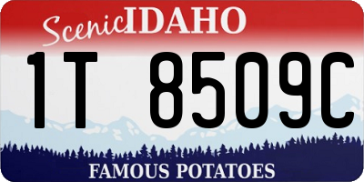 ID license plate 1T8509C