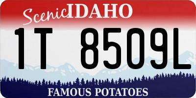ID license plate 1T8509L