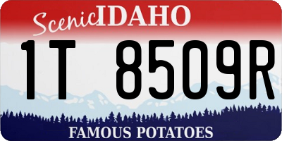 ID license plate 1T8509R